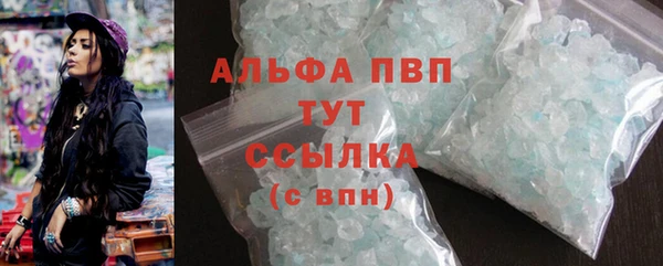 прущие грибы Вяземский