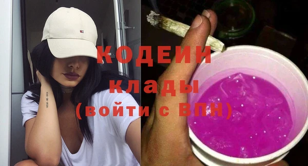 прущие грибы Вяземский