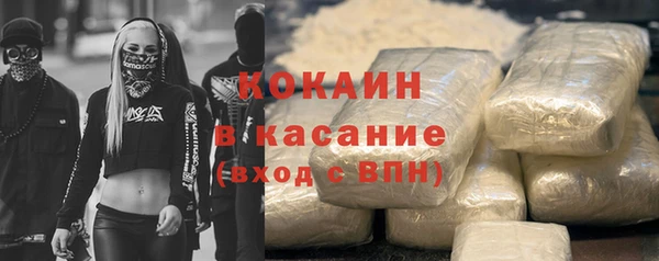 прущие грибы Вяземский