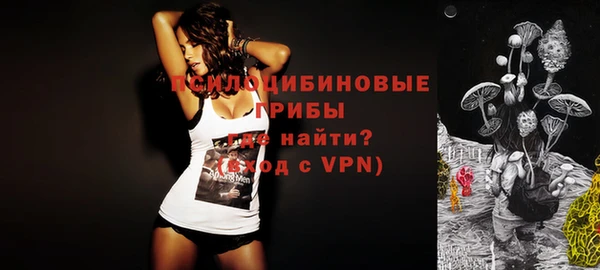 прущие грибы Вяземский