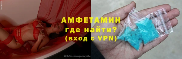 прущие грибы Вяземский