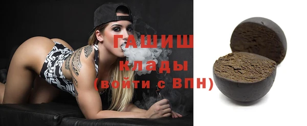 прущие грибы Вяземский