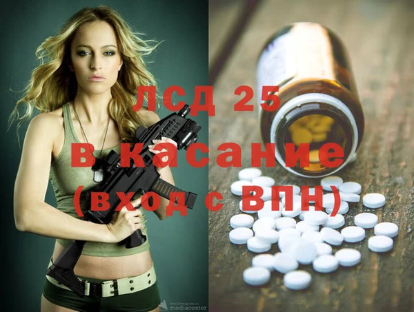 прущие грибы Вяземский