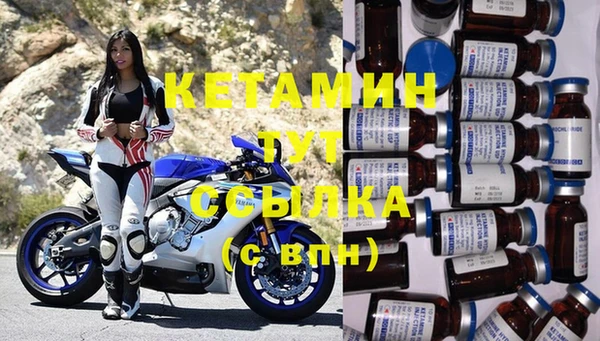 прущие грибы Вяземский