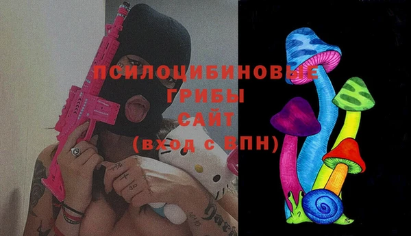 ПСИЛОЦИБИНОВЫЕ ГРИБЫ Вязники