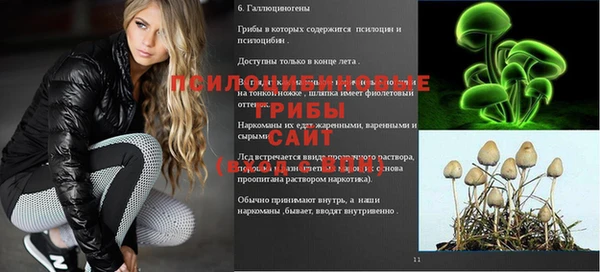 скорость Вязьма