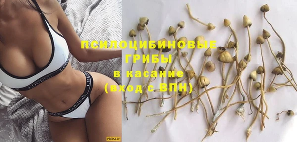 ПСИЛОЦИБИНОВЫЕ ГРИБЫ Вязники