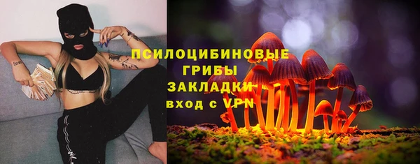 ПСИЛОЦИБИНОВЫЕ ГРИБЫ Вязники